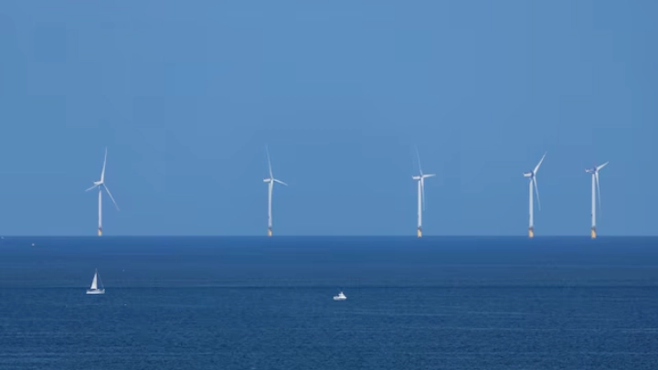 Wind turbines are seen in the sea from the Marsden Beach in South Shields, Britain, August 11, 2024. REUTERS/Denis Balibouse/File Photo