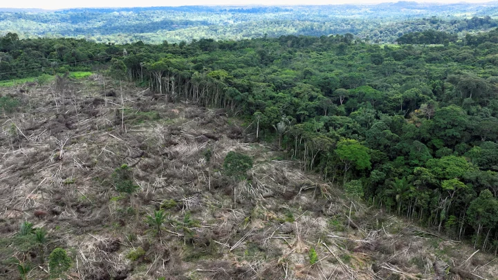  An aerial view shows a deforested area during an operation to combat deforestation near Uruara, Para State, Brazil January 21, 2023. REUTERS/Ueslei Marcelino/File Photo 