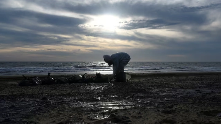 A volunteer works to clear spilled oil on the coastline following an incident involving two tankers damaged in a storm in the Kerch Strait, in the settlement of Blagoveshchenskaya near the Black Sea resort of Anapa in the Krasnodar region, Russia December 21, 2024. REUTERS/Sergey Pivovarov/File Photo