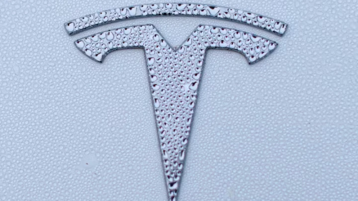 A Tesla logo is shown on a Model Y vehicle in Encinitas, California, U.S.,October 20, 2023. REUTERS/Mike Blake/File Photo