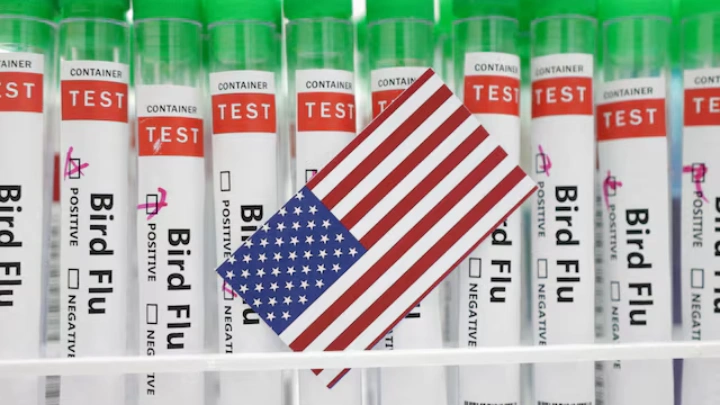 Test tubes labelled "Bird Flu" and a piece of paper in the colors of the U.S. national flag are seen in this picture illustration, January 14, 2023. REUTERS/Dado Ruvic/Illustration/File Photo